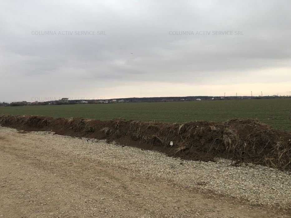 Balotesti Albinelor  loturi 1100mp 33 e/mpmp