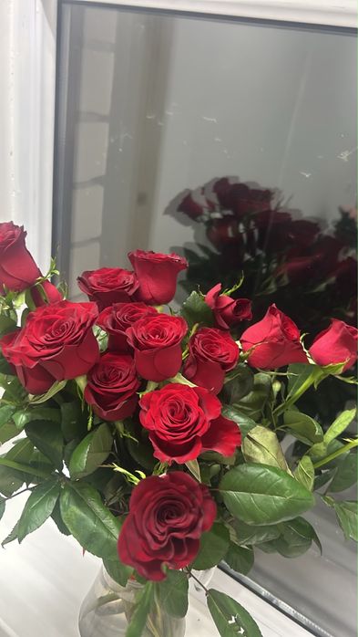 Роза 21шт СВЕЖАЯ