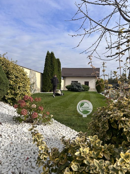 Servicii amenajari spatii verzi