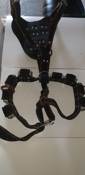 Шлейка с грузами