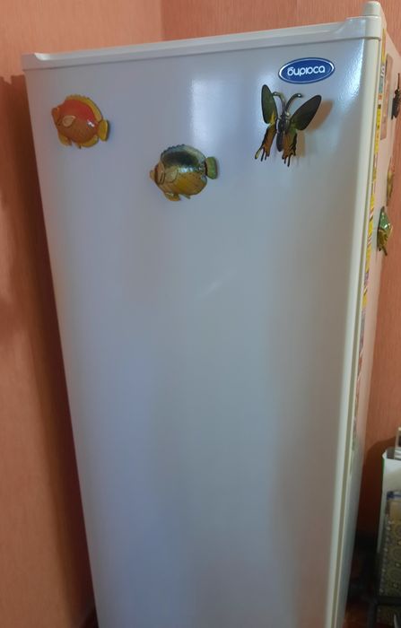 Холодильник Бирюса