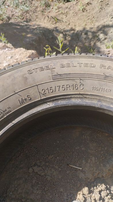 Шины всесезонные