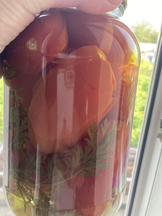 Продам домашние помидоры
