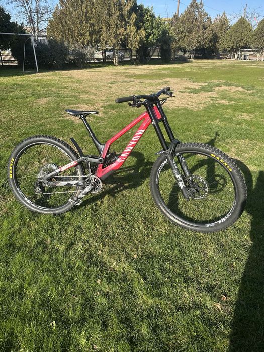 Canyon Sender 2024 Mullet