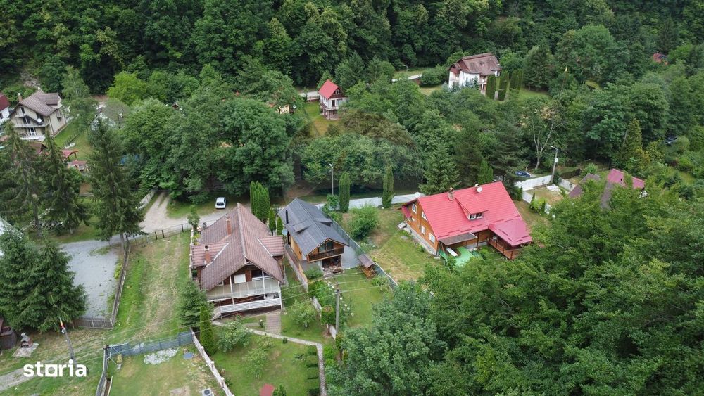Cabana autentica de munte Frasinet - Baisoara 600 mp teren