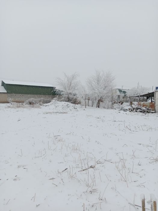 8 соток Узынагаш