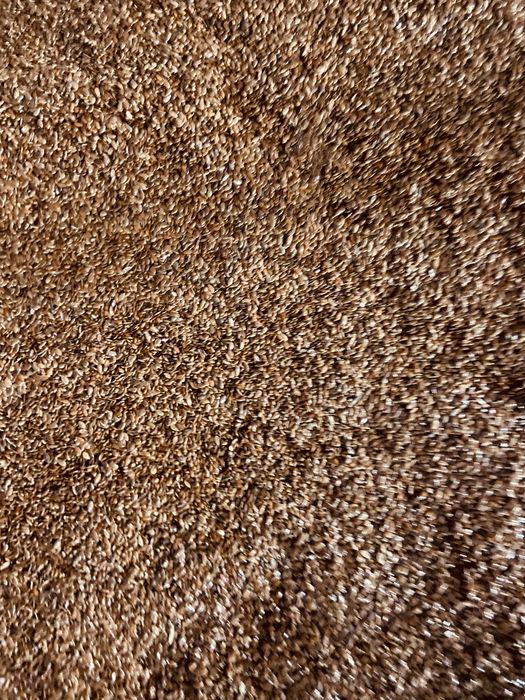 Семена льна сорт Северный