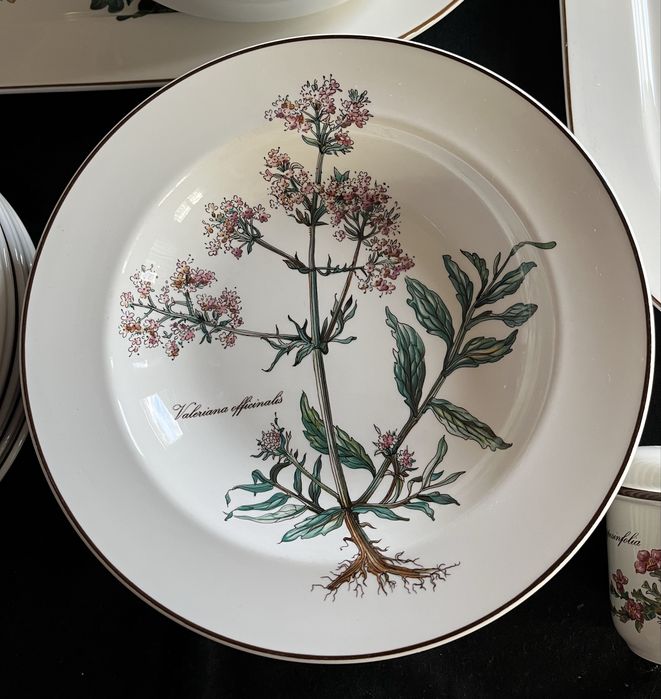 Villeroy&Boch Botanica