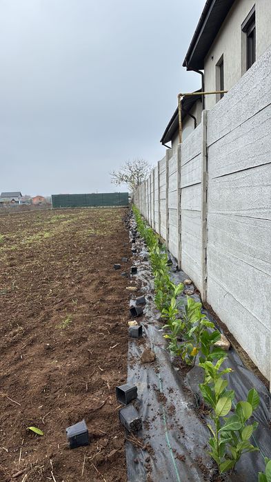 Vând teren Snagov , Ghermanesti!