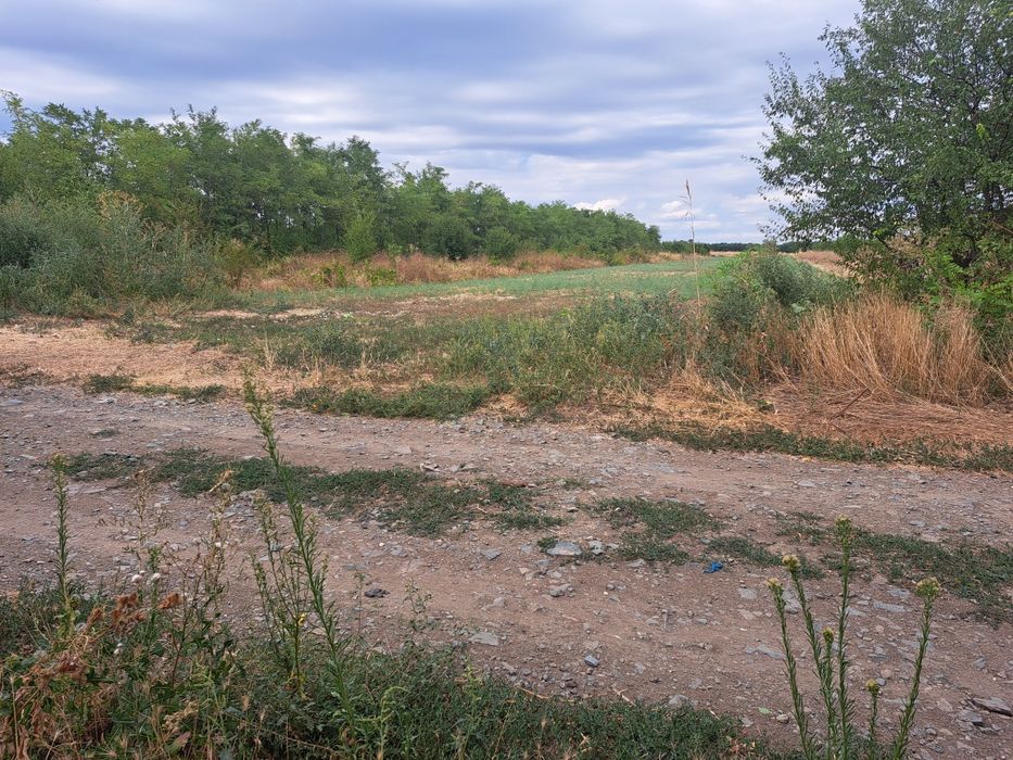 Teren/loc casa Salcioara sat Rasi Ialomita