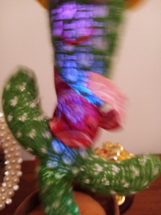 Кактус музыкальный.