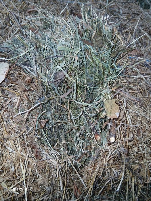 Baloti de fâ si otavă