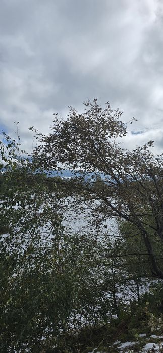 Ofertă de vânzare teren intravilan – sat Peștera, comuna Moeciu