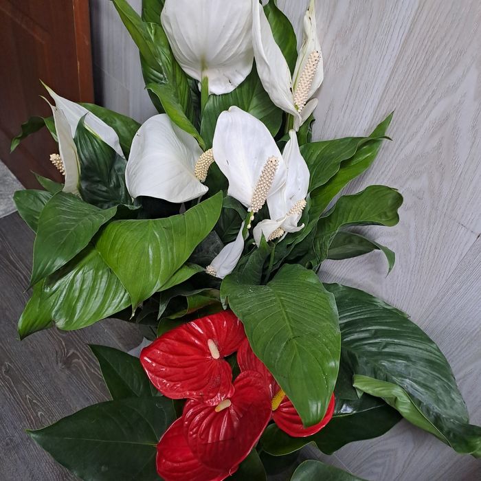 Продам женское счастье