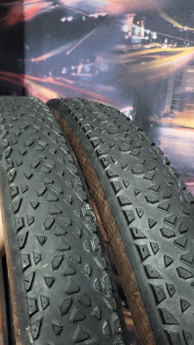 Continental race king 29x2.2