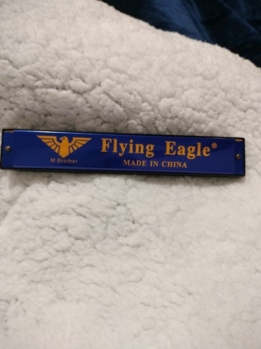 Muzicuță albastră