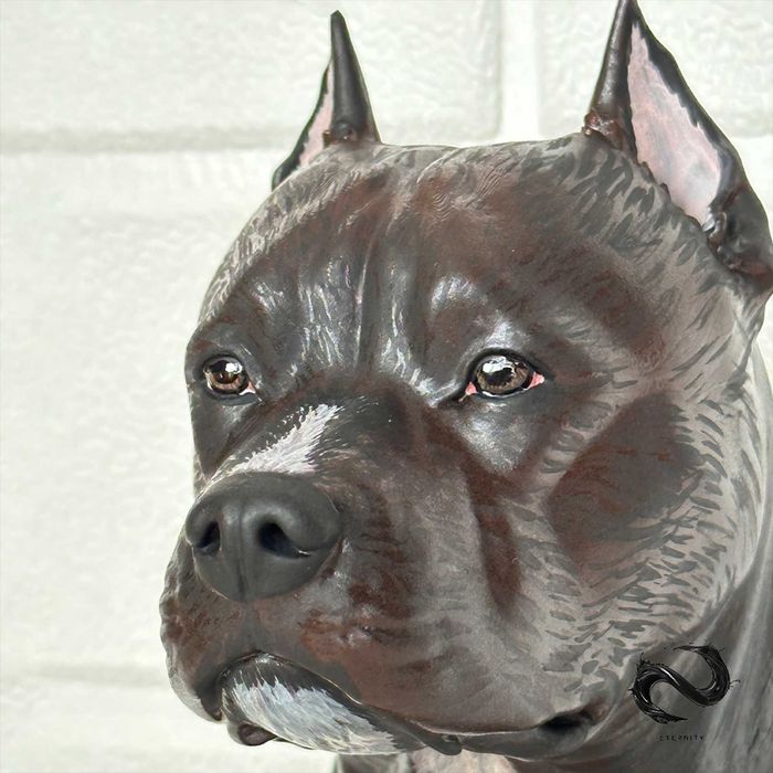 3D Бюст на Домашен Любимец по Снимка