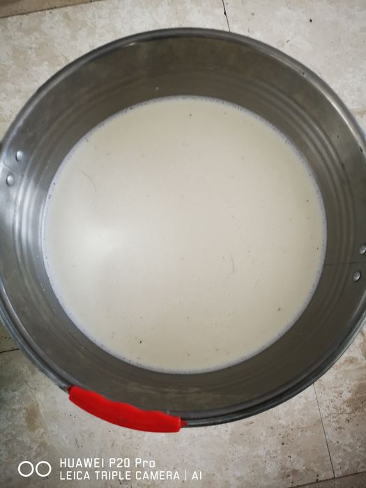 Lapte proaspăt și iaurt natural de Capră