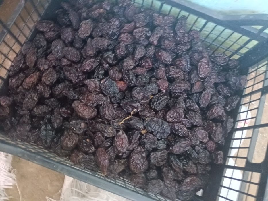 Vând prune uscate