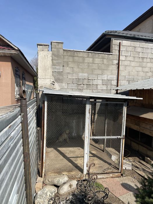 Вальер для собак