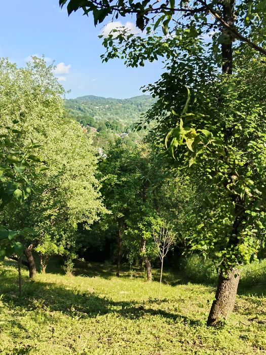 Casă de vânzare în comuna Bezdead sat Măgura (Tunari).