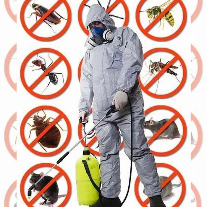 Дезенфекция дизенфекция дезинфекция дизинфекция dizinfeksiya