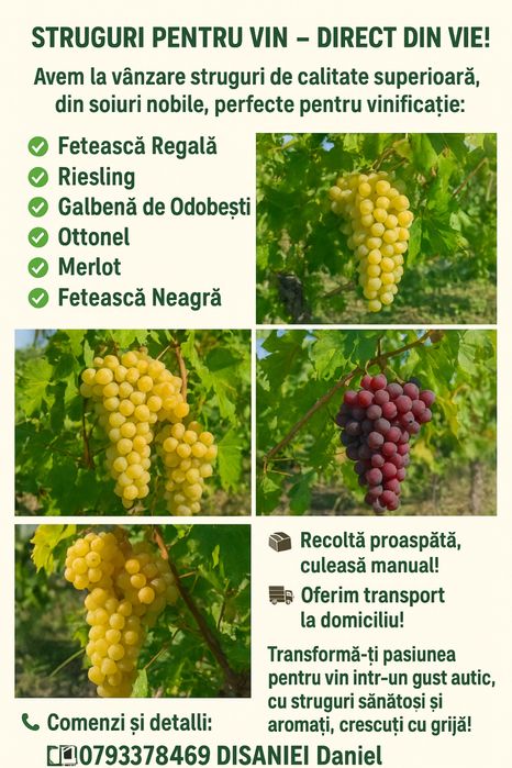 Vindem struguri de vin direct de la producator