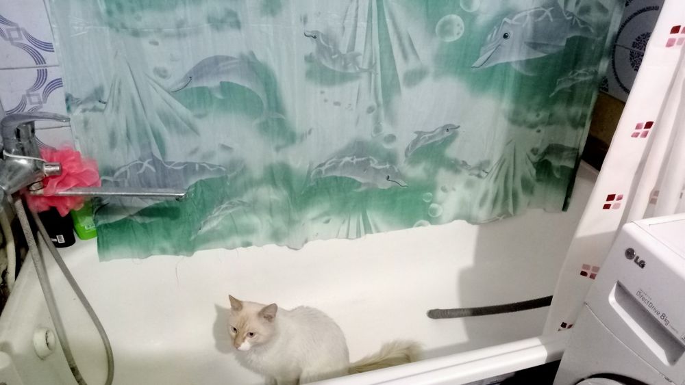 Шпальный дом с магазином