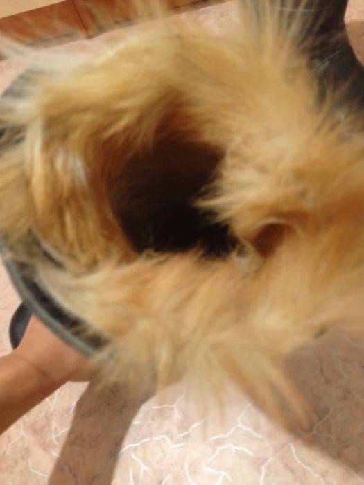 Сезонные сопоги  в отличном состоянии