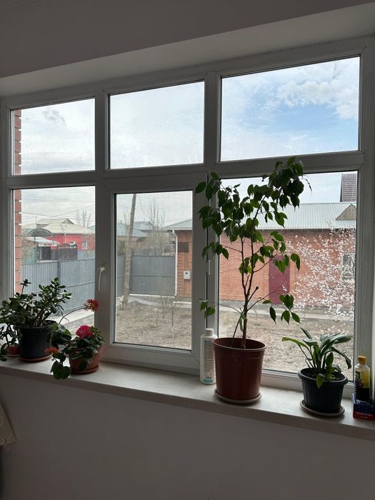 Пластиковые окна
