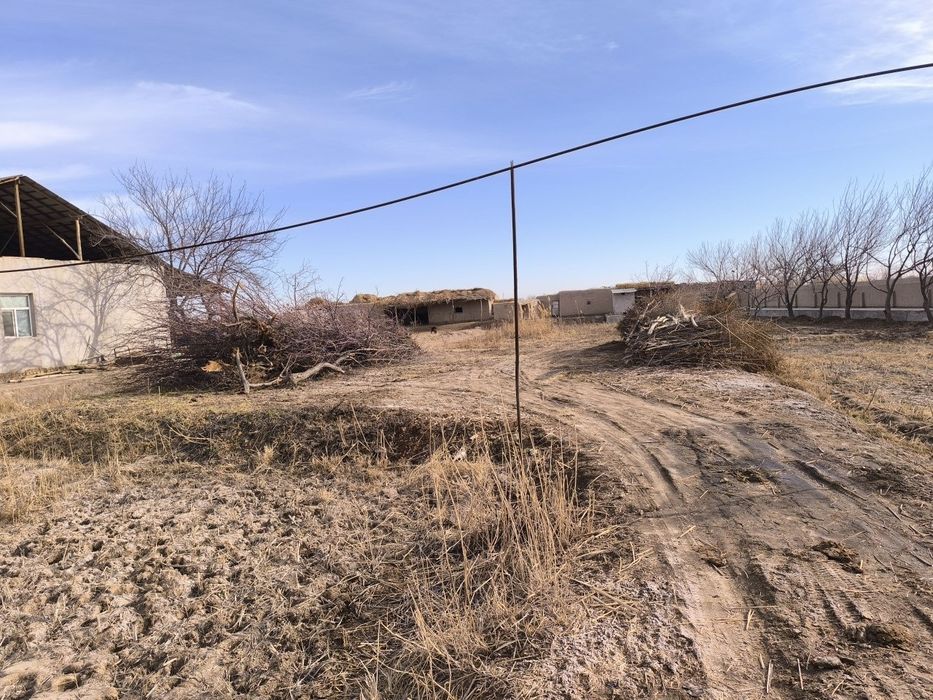 Шовот туман да жой урни сотилади