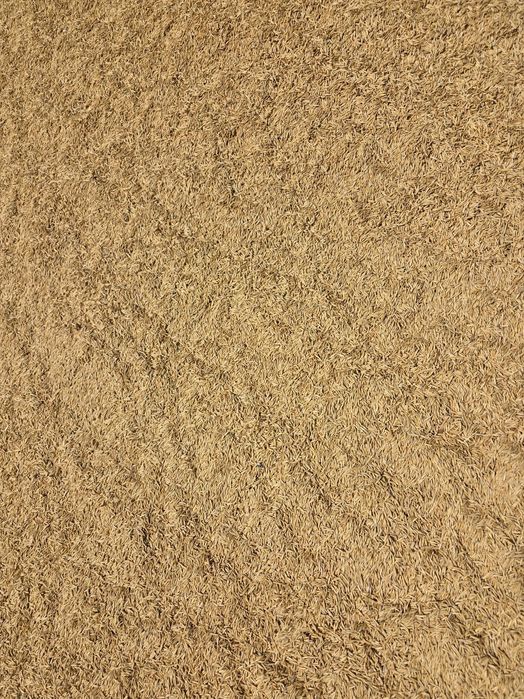 Продавам овес. Реколта 2025