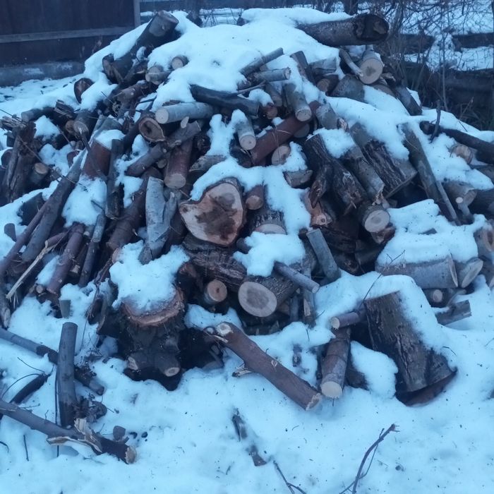 Отын отын отынннннн