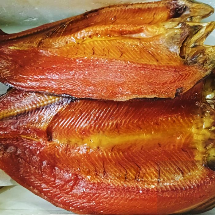 Живой рак, крабы, лобстеры