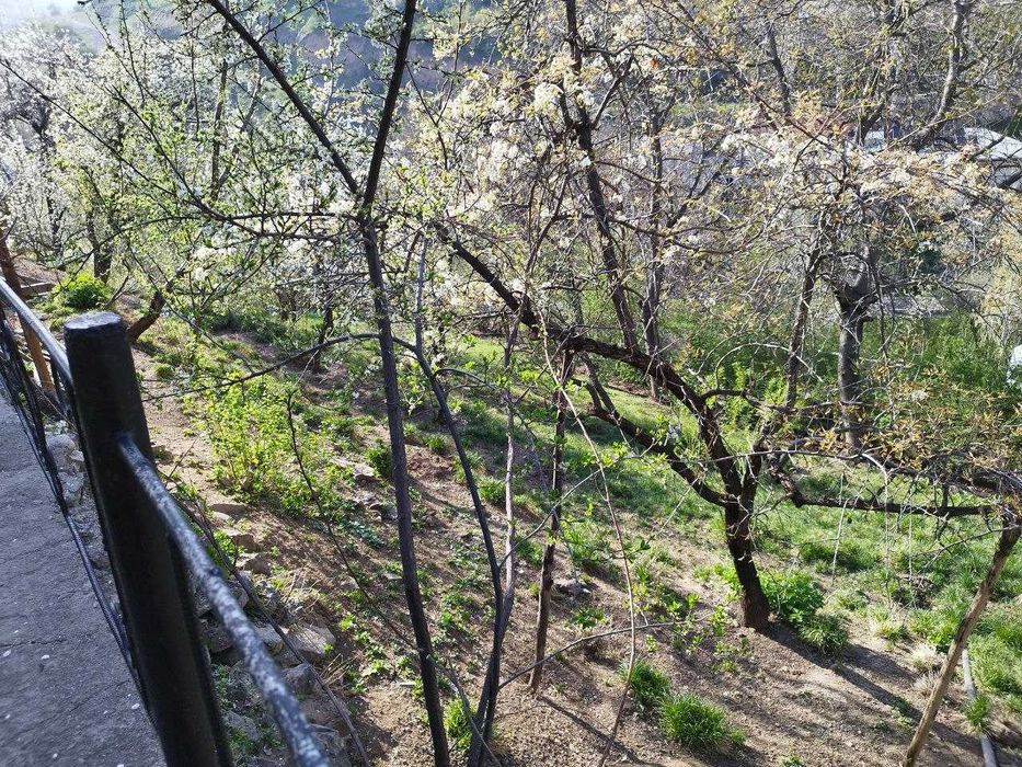 Продается дача 4 сот в горах Чинор