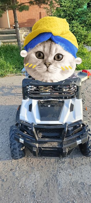 Продам Багги машинку