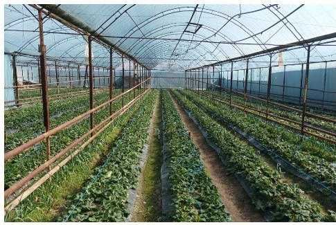 Продаётся  16 сот участок юкори Чирчик