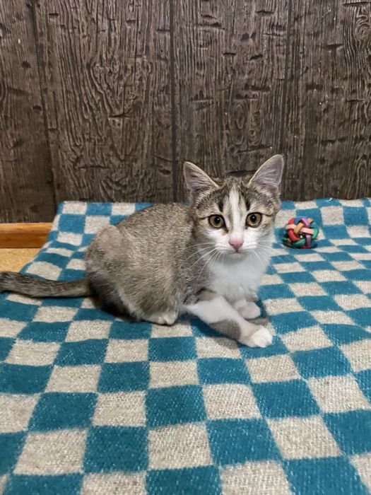 Малышка ждет свою семью!