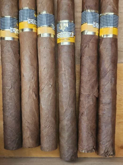 HUMIDOR trabuc Cohiba
