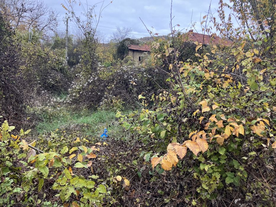 Продава се Парцел в Троян - 738 кв.м за 12 €/кв.м - Снимка #5