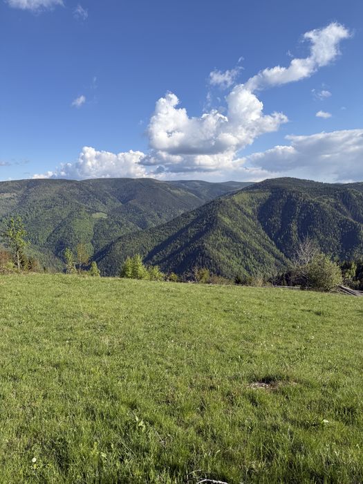 TEREN INTRAVILAN 6.000 MP | PRIVELIȘTE SUPERBĂ | ideal pentru cabane & investiții