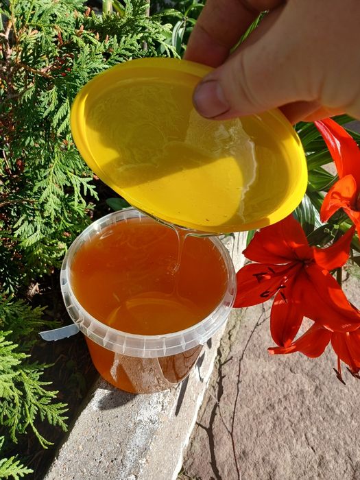 Мёд цветочное разнотравие