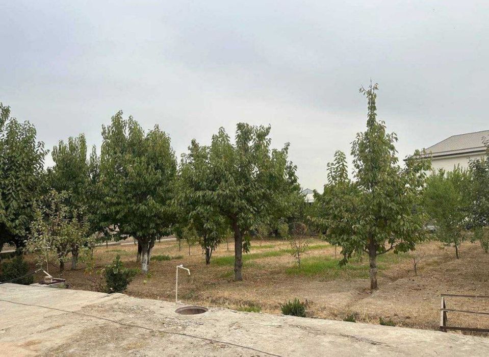 Аренда дома срочно