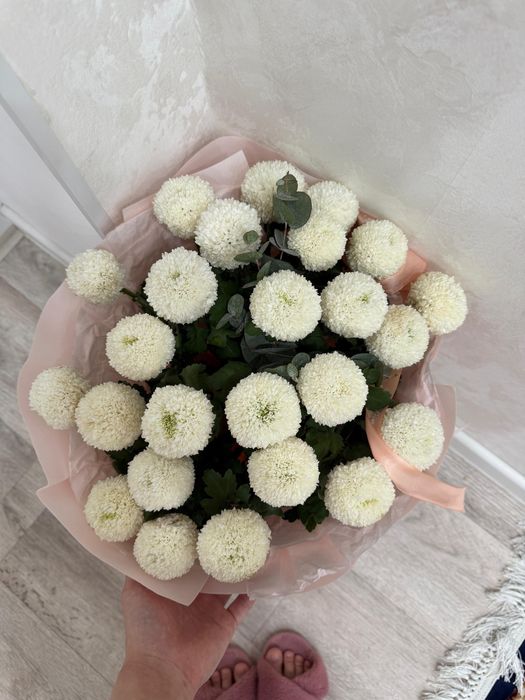 Цветы гул актауда