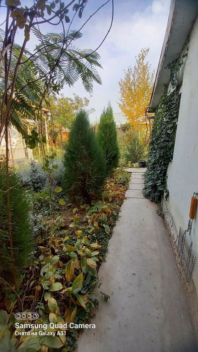 Дом 8 соток парк победы