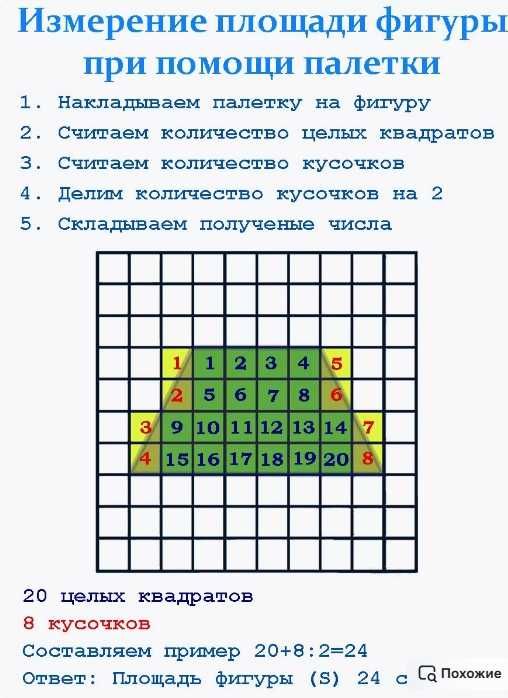 Палетки для измерения площади А4, A6