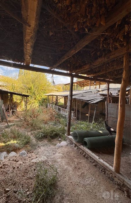 Dacha sotiladi 9 sotk