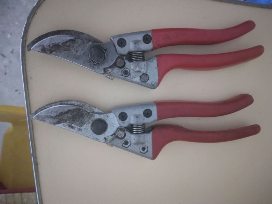 Foarfec nou mare la 80 de lei