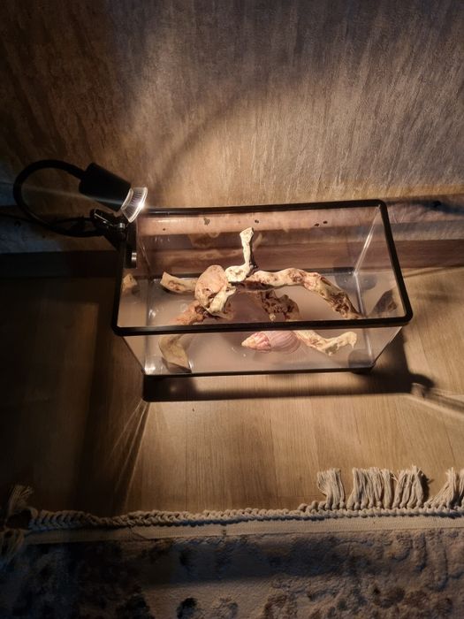 Продам пластиковыи аквариума 20лт