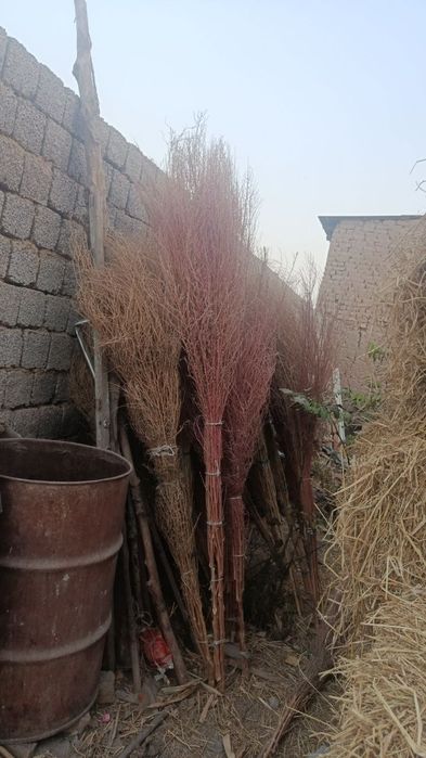 Kotta supirgila sotiladi